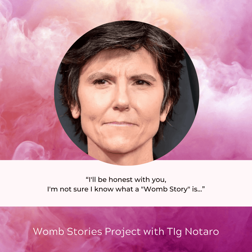 Tig Notaro Womb Stories Project V Steaming