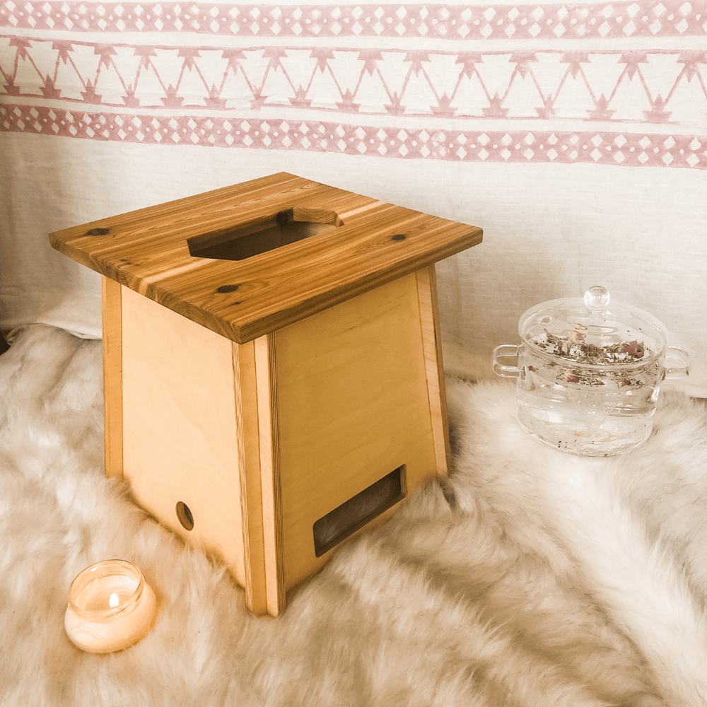 
                  
                    School of Sacred Wild - Basic Savings Bundle
                  
                